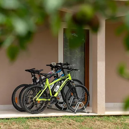 Splendid In Vi Inada With Sauna Willa